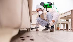 Best Pest Prevention Services  in Jericho, NY